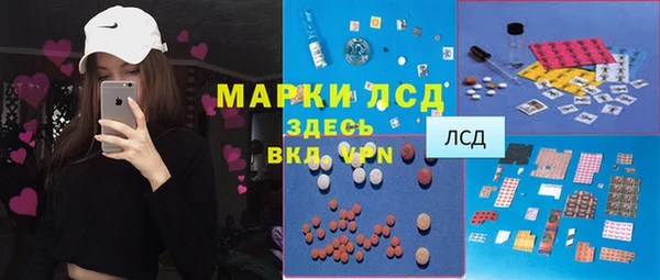 индика Алексеевка