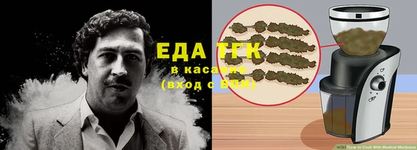 индика Абинск