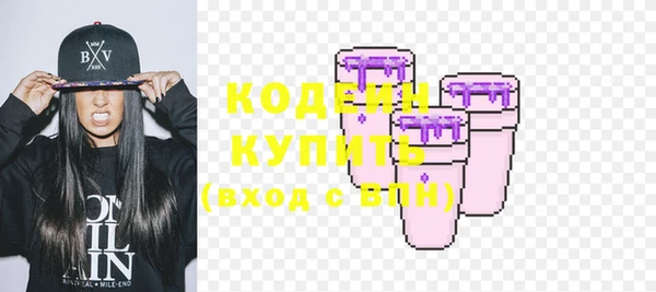 индика Абинск