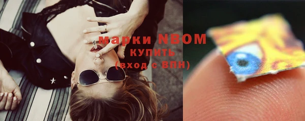 индика Абинск