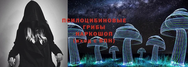 ГАЛЛЮЦИНОГЕННЫЕ ГРИБЫ Абдулино