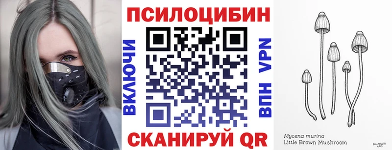 где купить наркоту  кракен   Псилоцибиновые грибы Magic Shrooms  Брюховецкая 